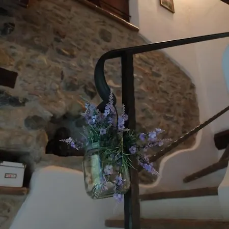 Country House Casa Lulli 펜션 *